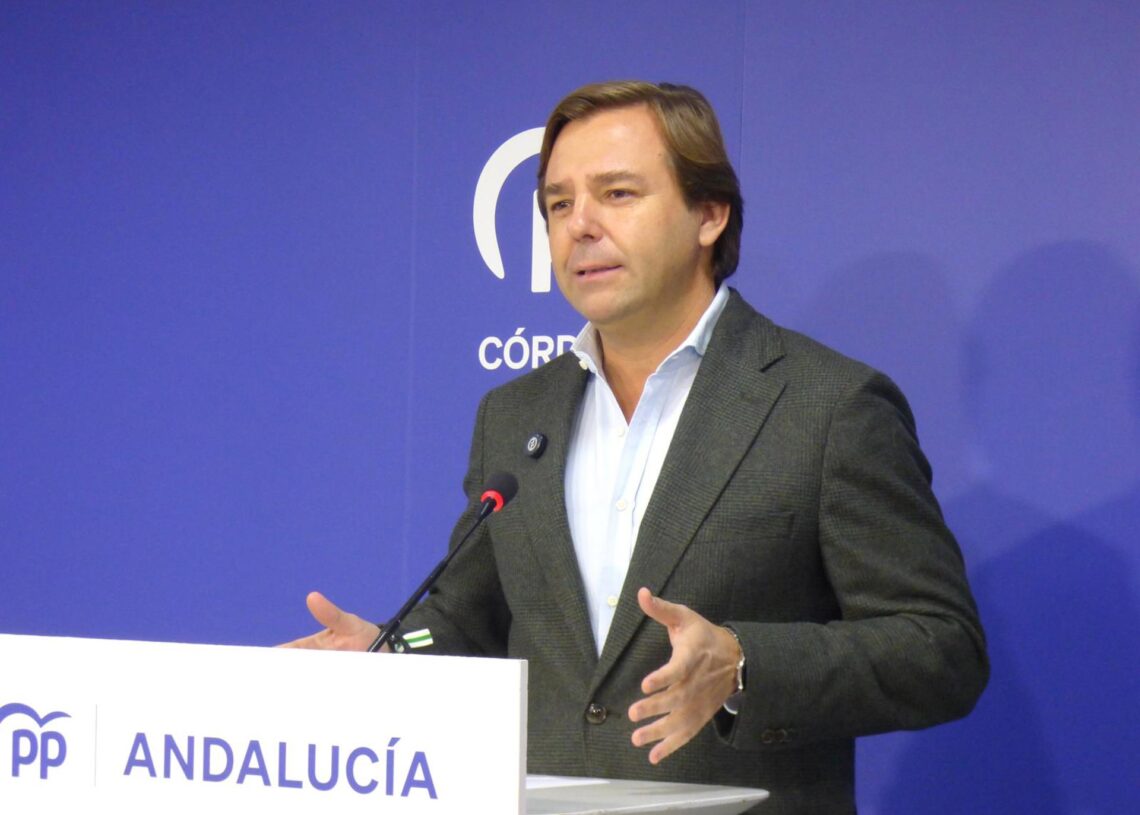 El secretario general del PP-A, Antonio Repullo, este viernesPP-A