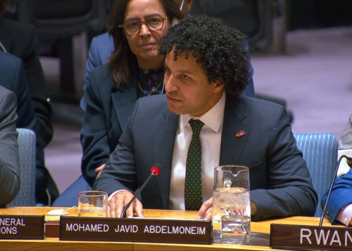 El presidente internacional de MSF, Javid Abdelmoneim, interviene ante el Consejo de Seguridad de la ONU para alertar de la situación de RDC.MÉDICOS SIN FRONTERAS